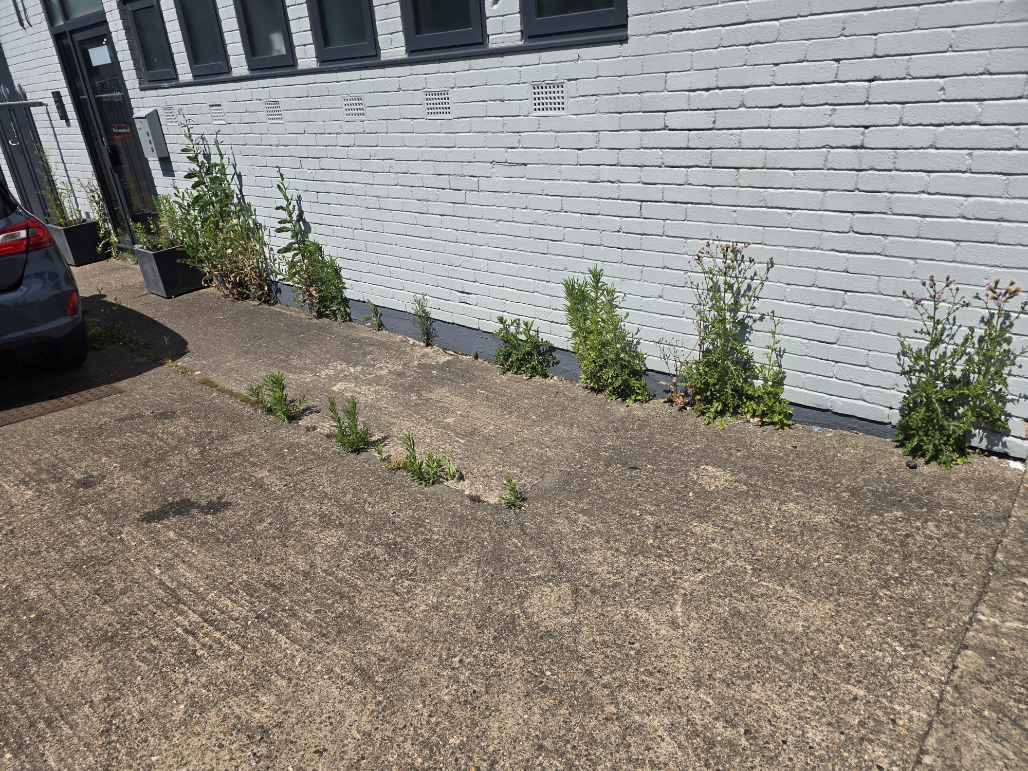 Commercial building perimeter weed control and maintenance